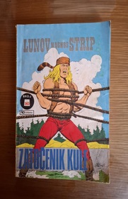 Zatočenik kule