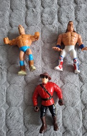 World Wrestling Federation (WWE)